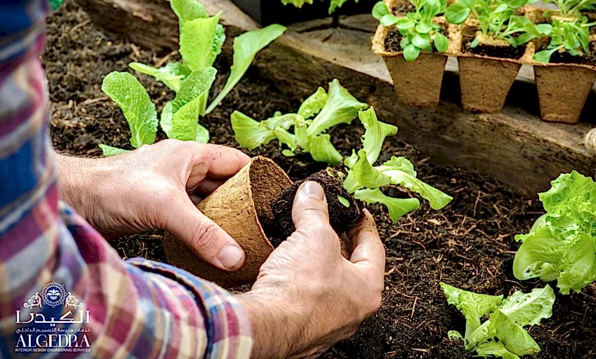 Gardening